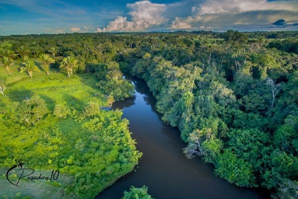 Amazone-regenwoud Zuid-Amerika Reisadvies10