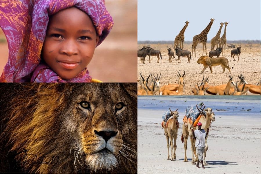Conclusie een laatste samenvatting van reisadviezen voor Afrika Reisadvies 10